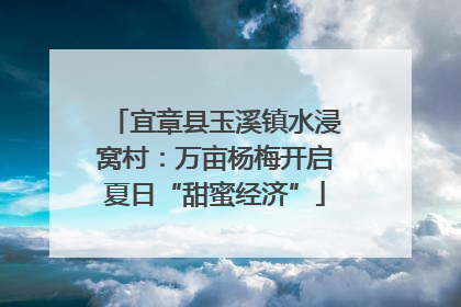 宜章县玉溪镇水浸窝村：万亩杨梅开启夏日“甜蜜经济”