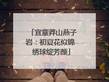 宜章莽山燕子岩：初夏花似锦 绣球绽芳颜