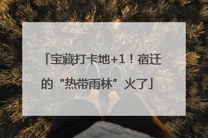 宝藏打卡地+1！宿迁的“热带雨林”火了