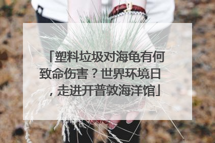 塑料垃圾对海龟有何致命伤害？世界环境日，走进开普敦海洋馆