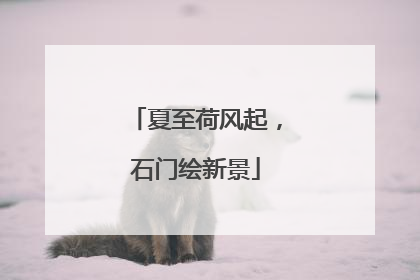夏至荷风起，石门绘新景