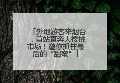 外地游客来烟台，首站直奔大樱桃市场！邀你抓住最后的“甜蜜”