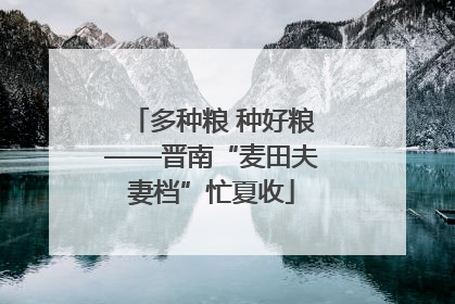 多种粮 种好粮——晋南“麦田夫妻档”忙夏收