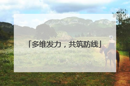 多维发力，共筑防线
