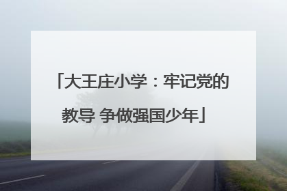 大王庄小学：牢记党的教导 争做强国少年