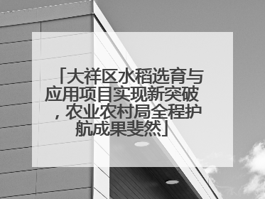 大祥区水稻选育与应用项目实现新突破，农业农村局全程护航成果斐然