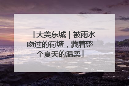 大美东城｜被雨水吻过的荷塘，藏着整个夏天的温柔