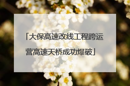 大保高速改线工程跨运营高速天桥成功爆破