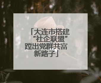 大连市搭建“社企联盟”蹚出党群共富新路子