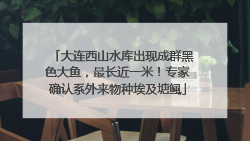 大连西山水库出现成群黑色大鱼，最长近一米！专家确认系外来物种埃及塘鲺