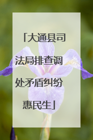 大通县司法局排查调处矛盾纠纷惠民生