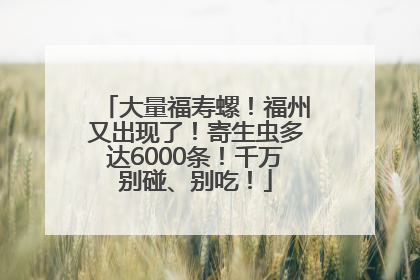 大量福寿螺！福州又出现了！寄生虫多达6000条！千万别碰、别吃！