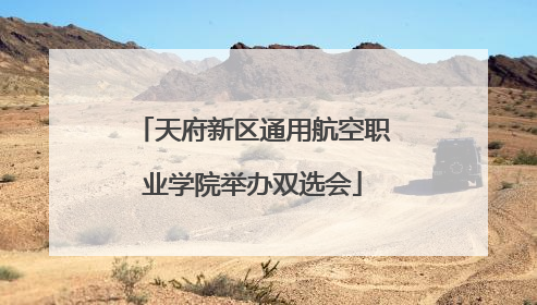 天府新区通用航空职业学院举办双选会