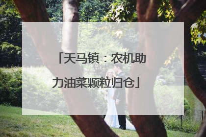天马镇：农机助力油菜颗粒归仓
