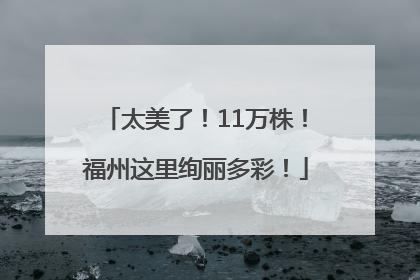 太美了！11万株！福州这里绚丽多彩！