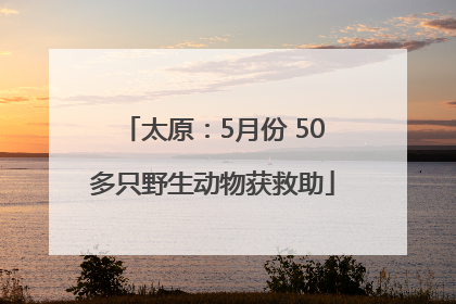 太原：5月份 50多只野生动物获救助