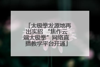 太极拳发源地再出实招 “焦作云端太极拳”网络直播教学平台开通