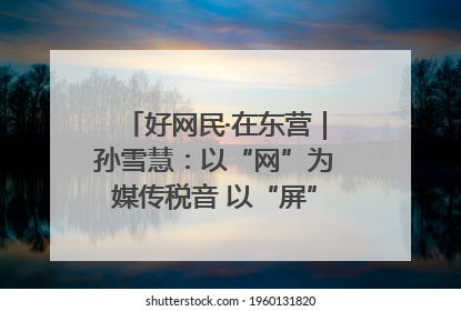 好网民·在东营｜孙雪慧：以“网”为媒传税音 以“屏”为介助发展