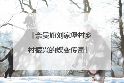 奈曼旗刘家堡村乡村振兴的蝶变传奇
