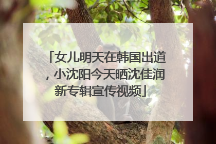 女儿明天在韩国出道，小沈阳今天晒沈佳润新专辑宣传视频