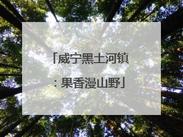 威宁黑土河镇：果香漫山野