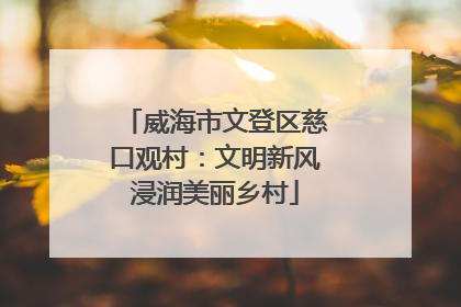 威海市文登区慈口观村：文明新风浸润美丽乡村