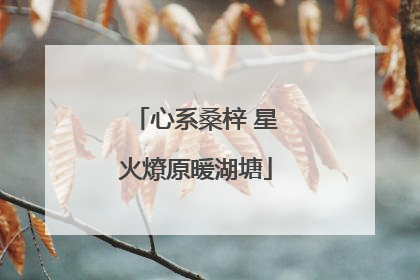 心系桑梓 星火燎原暖湖塘