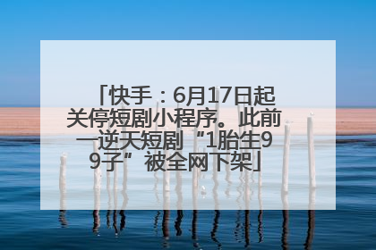 快手：6月17日起关停短剧小程序。此前一逆天短剧“1胎生99子”被全网下架