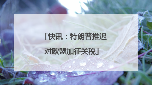 快讯：特朗普推迟对欧盟加征关税