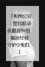 彬州公安：警民联动化赡养纠纷 枫桥经验守护夕阳红