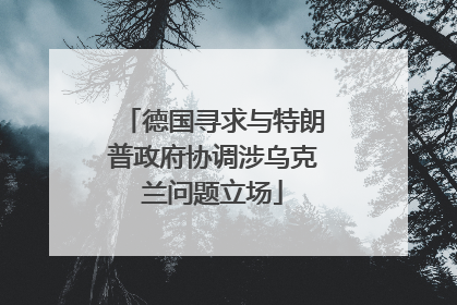 德国寻求与特朗普政府协调涉乌克兰问题立场