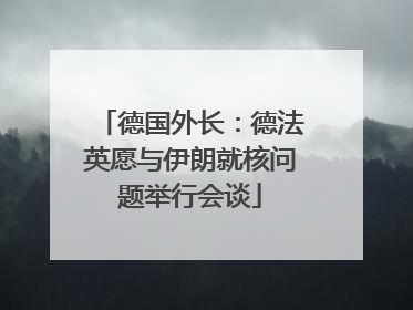 德国外长：德法英愿与伊朗就核问题举行会谈