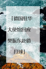 德国驻华大使馆回应樊振东赴德打球