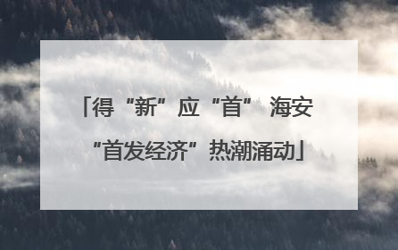得“新”应“首” 海安“首发经济”热潮涌动