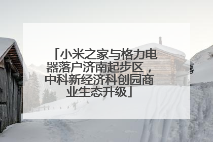 小米之家与格力电器落户济南起步区，中科新经济科创园商业生态升级