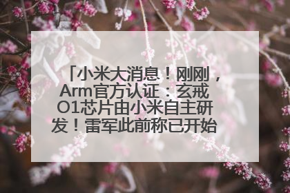 小米大消息！刚刚，Arm官方认证：玄戒O1芯片由小米自主研发！雷军此前称已开始大规模量产