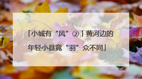 小城有“风”②丨黄河边的年轻小县竟“羽”众不同