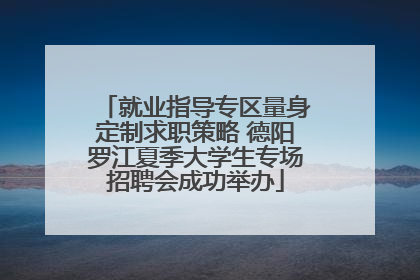 就业指导专区量身定制求职策略 德阳罗江夏季大学生专场招聘会成功举办