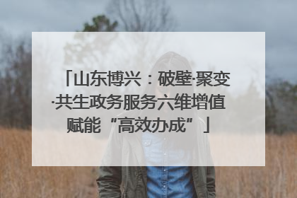山东博兴：破壁·聚变·共生政务服务六维增值赋能“高效办成”