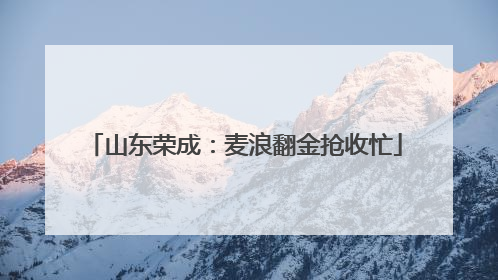 山东荣成：麦浪翻金抢收忙