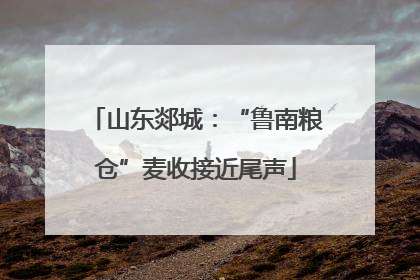 山东郯城：“鲁南粮仓”麦收接近尾声