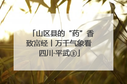 山区县的“药”香致富经丨万千气象看四川·平武③