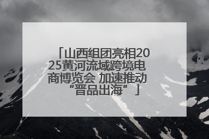 山西组团亮相2025黄河流域跨境电商博览会 加速推动“晋品出海”