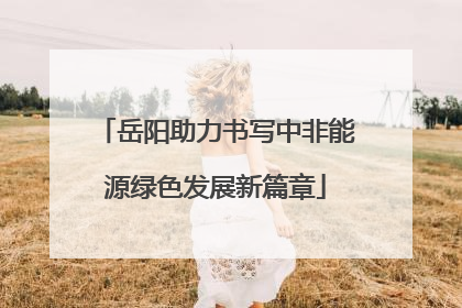 岳阳助力书写中非能源绿色发展新篇章