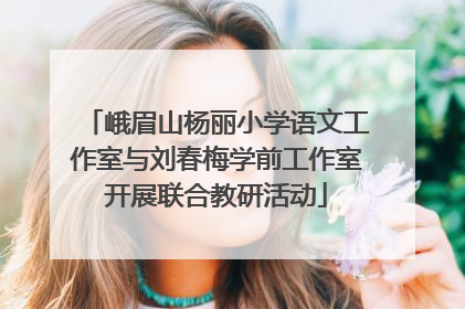 峨眉山杨丽小学语文工作室与刘春梅学前工作室开展联合教研活动
