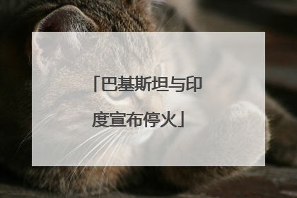巴基斯坦与印度宣布停火