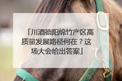 川酒德阳绵竹产区高质量发展路径何在？这场大会给出答案