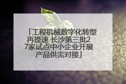 工程机械数字化转型再提速 长沙第三批27家试点中小企业开展产品供需对接