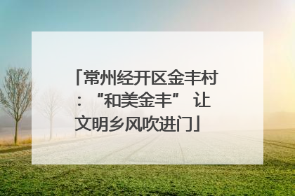 常州经开区金丰村：“和美金丰” 让文明乡风吹进门