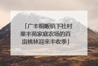 广丰桐畈镇下社村果丰苑家庭农场的百亩桃林迎来丰收季
